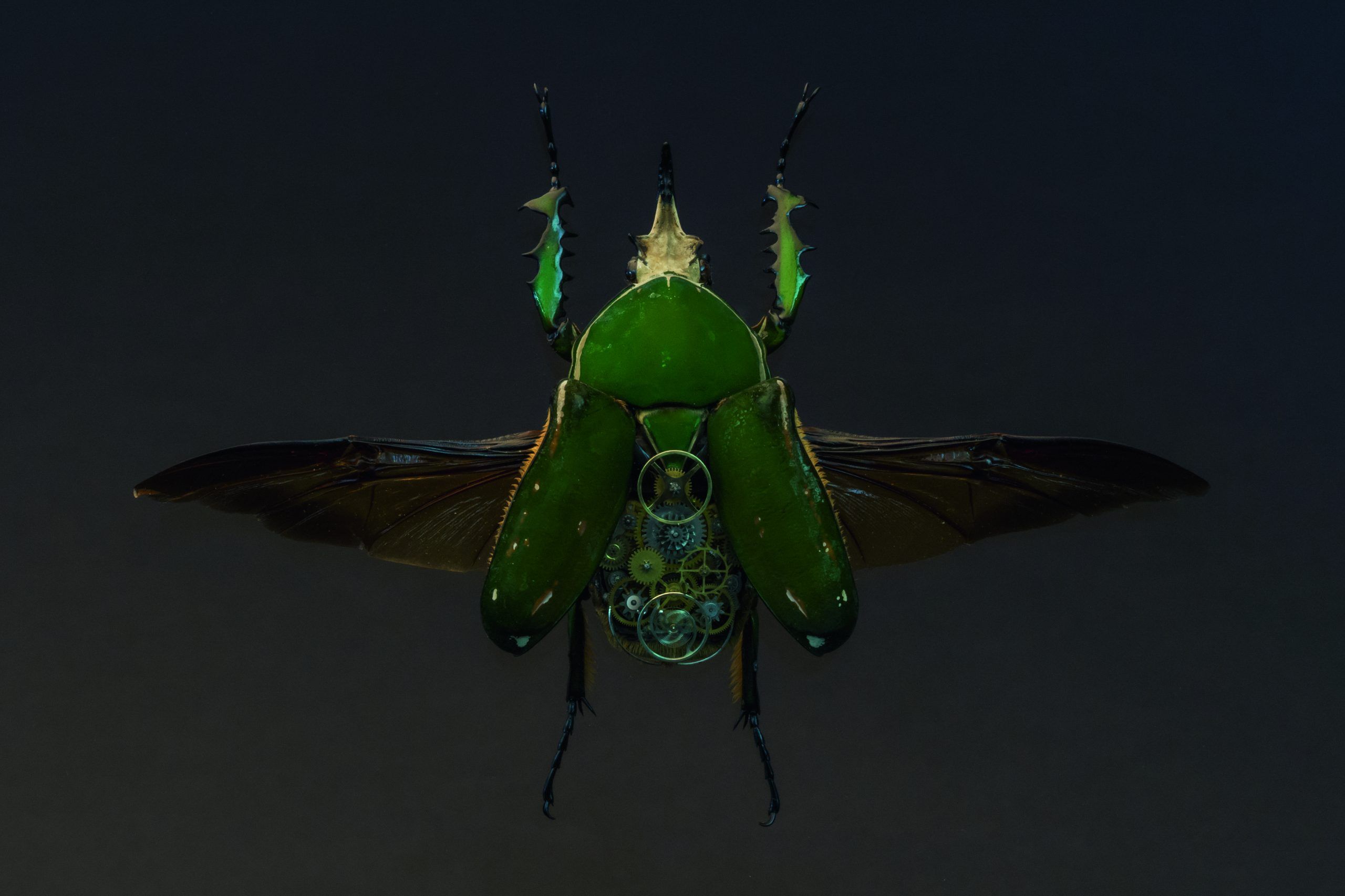 mb-f-maximilian-b-sser-pin-prestige