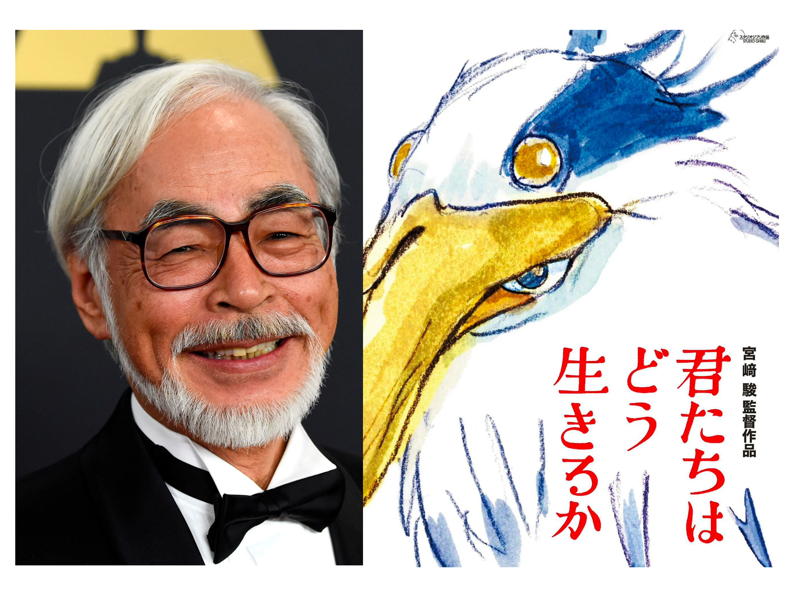 The Miyazaki Mystery: A Symbol Decoded - kv86wf6
